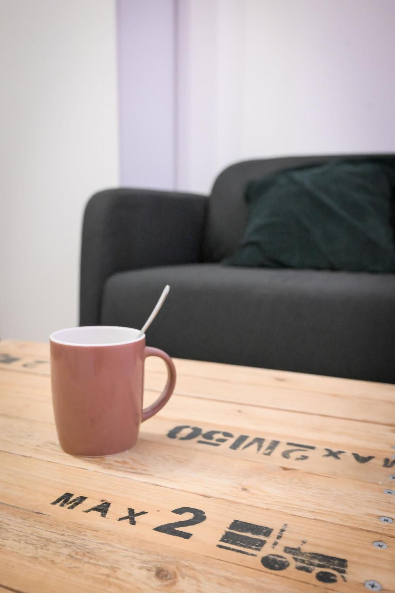 Appartement T1 Bis L'Enfilade Albi Zewnętrze zdjęcie