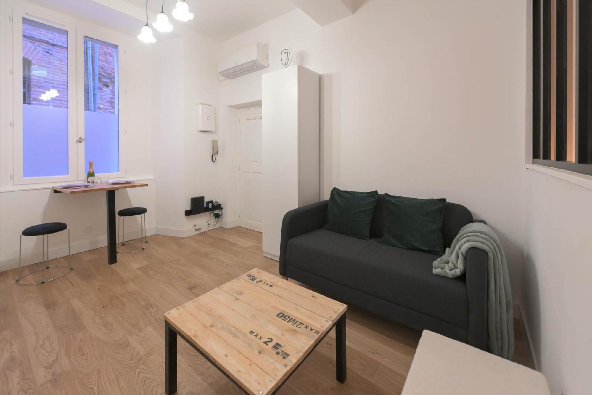 Appartement T1 Bis L'Enfilade Albi Zewnętrze zdjęcie